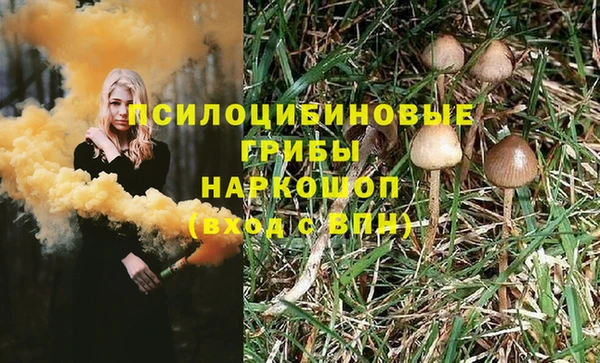 гидра Абдулино