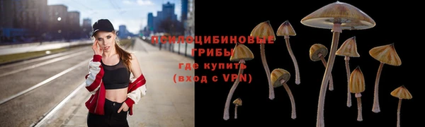 не бодяженный Абинск