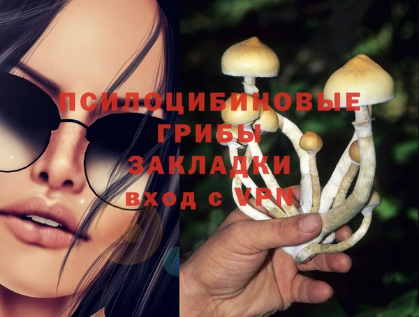 гидра Абдулино
